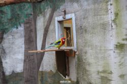 zoo-bochum-zoo-2015-03-28-460