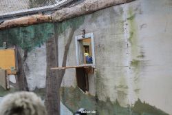 zoo-bochum-zoo-2015-03-28-463