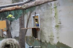zoo-bochum-zoo-2015-03-28-464