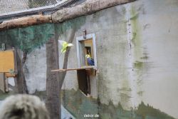 zoo-bochum-zoo-2015-03-28-465