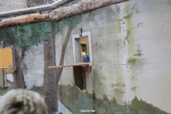zoo-bochum-zoo-2015-03-28-466