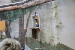 zoo-bochum-zoo-2015-03-28-467