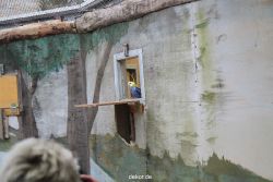 zoo-bochum-zoo-2015-03-28-468