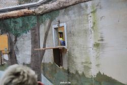 zoo-bochum-zoo-2015-03-28-469