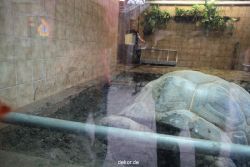 zoo-bochum-zoo-2015-03-28-472