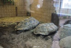 zoo-bochum-zoo-2015-03-28-473