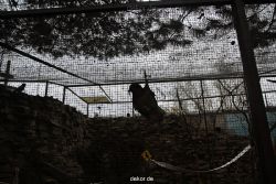 zoo-bochum-zoo-2015-03-28-479