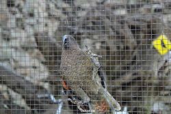 zoo-bochum-zoo-2015-03-28-482
