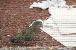zoo-bochum-zoo-2015-03-28-486