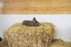 zoo-bochum-zoo-2015-03-28-500