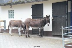 zoo-bochum-zoo-2015-03-28-502