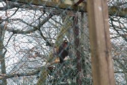 zoo-bochum-zoo-2015-03-28-508