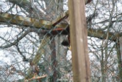 zoo-bochum-zoo-2015-03-28-510