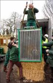 zoo-wuppertal-junge-tiger-ankunft-in-england-006
