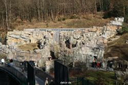 zoo-wuppertal-junge-tiger-das-tigertal-002