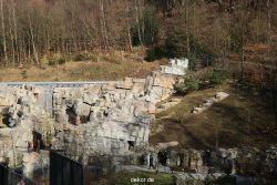 zoo-wuppertal-junge-tiger-das-tigertal-003