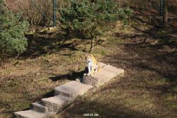 zoo-wuppertal-tiger-04-003