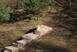 zoo-wuppertal-tiger-04-004