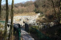 zoo-wuppertal-tigertal-01-001