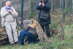 zoo-wuppertal-tschuna-daseep-03-001