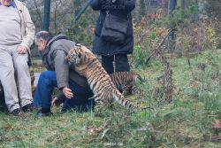 zoo-wuppertal-tschuna-daseep-03-002
