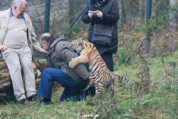 zoo-wuppertal-tschuna-daseep-03-003
