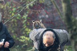 zoo-wuppertal-tschuna-daseep-03-013