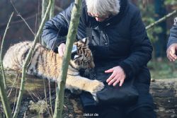 zoo-wuppertal-tschuna-daseep-03-025