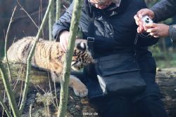 zoo-wuppertal-tschuna-daseep-03-026