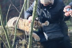 zoo-wuppertal-tschuna-daseep-03-027