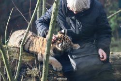zoo-wuppertal-tschuna-daseep-03-028