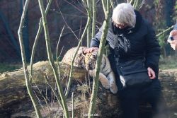 zoo-wuppertal-tschuna-daseep-03-029