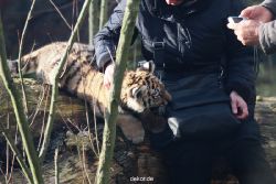 zoo-wuppertal-tschuna-daseep-03-030