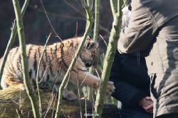 zoo-wuppertal-tschuna-daseep-03-033