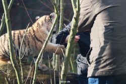 zoo-wuppertal-tschuna-daseep-03-037