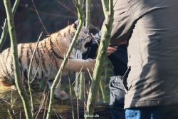 zoo-wuppertal-tschuna-daseep-03-038