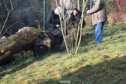 zoo-wuppertal-tschuna-daseep-03-042