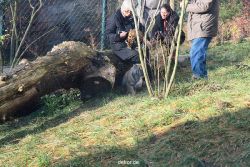 zoo-wuppertal-tschuna-daseep-03-043