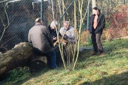 zoo-wuppertal-tschuna-daseep-03-047
