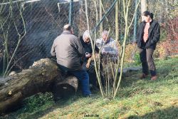 zoo-wuppertal-tschuna-daseep-03-048