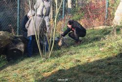 zoo-wuppertal-tschuna-daseep-03-051