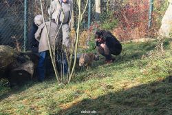 zoo-wuppertal-tschuna-daseep-03-052