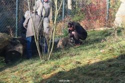 zoo-wuppertal-tschuna-daseep-03-053