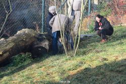 zoo-wuppertal-tschuna-daseep-03-059