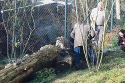 zoo-wuppertal-tschuna-daseep-03-060