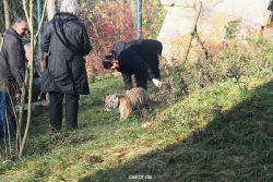 zoo-wuppertal-tschuna-daseep-03-072