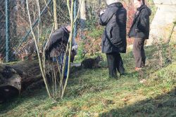 zoo-wuppertal-tschuna-daseep-03-073