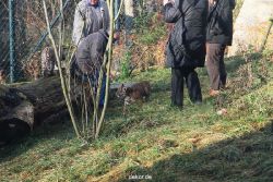 zoo-wuppertal-tschuna-daseep-03-074