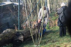 zoo-wuppertal-tschuna-daseep-03-076