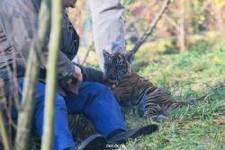 zoo-wuppertal-tschuna-daseep-03-078